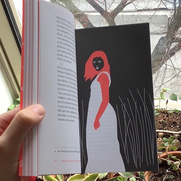 3/20$ ⭐️ Essai en français livre québécois - Picture 5 of 8